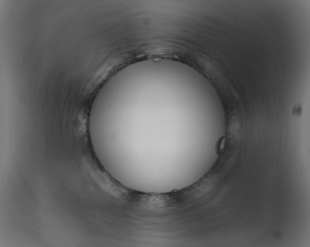 X0000111490282200907281235