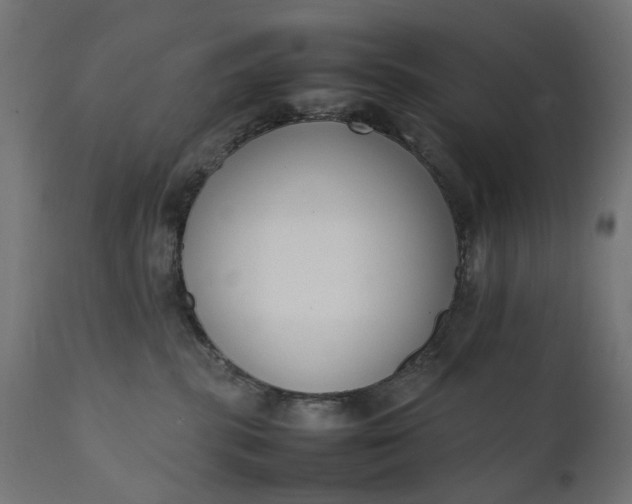 X0000111490283200907281235