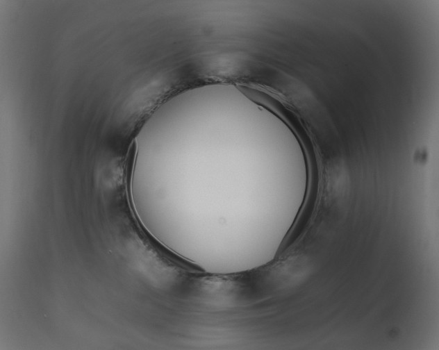 X0000111490284200907281235