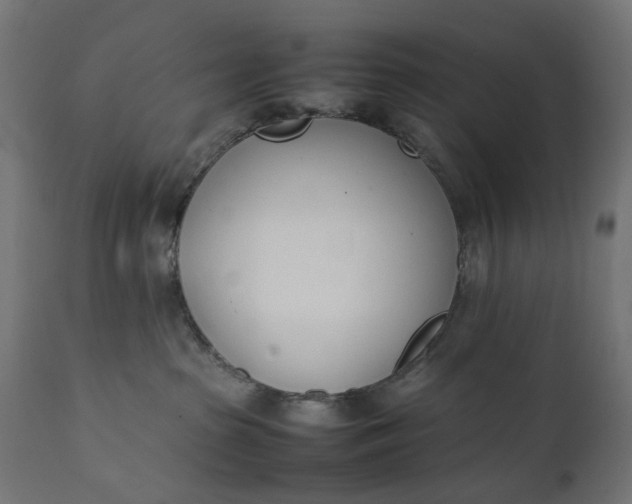 X0000111490285200907281235