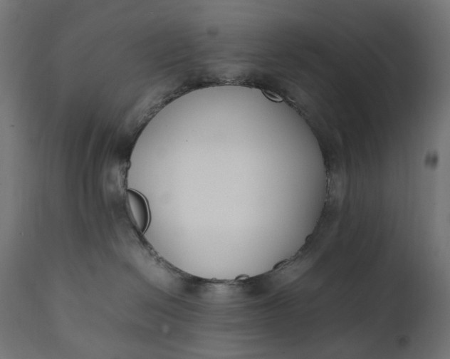 X0000111490286200907281235