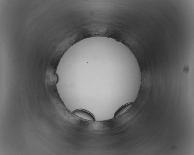 X0000111490287200907281235