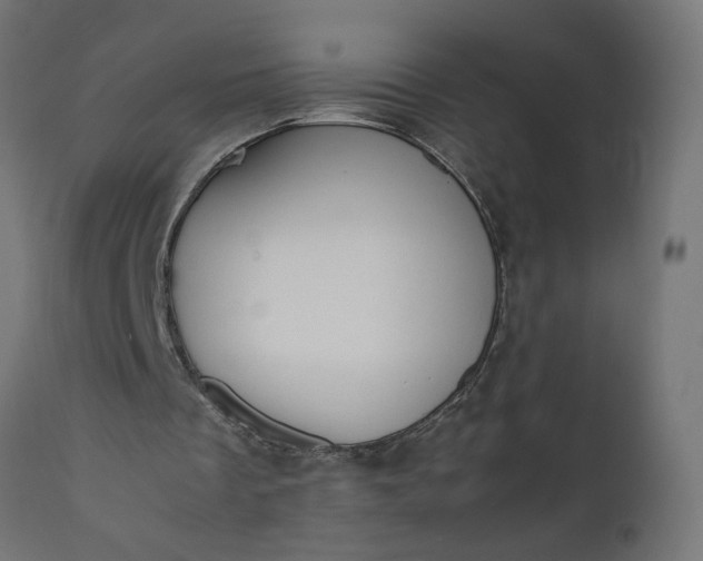 X0000111490289200907281234