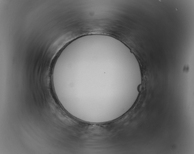 X0000111490290200907281234