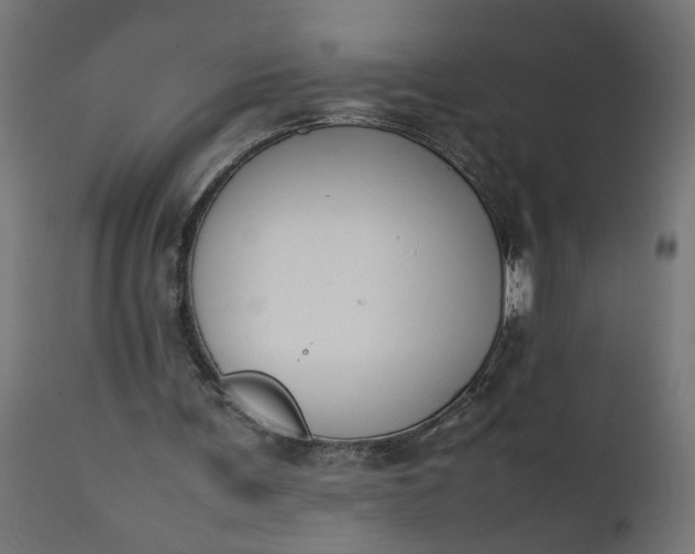 X0000111490291200907281234