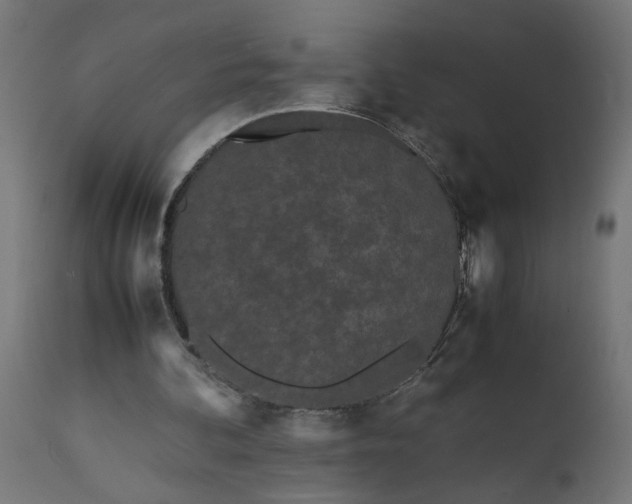 X0000111490292200907281234