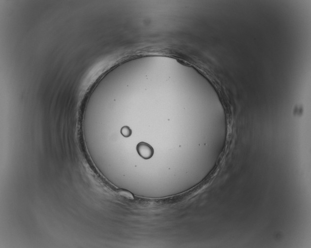 X0000111490293200907281234