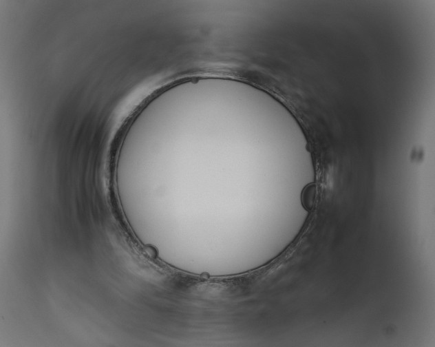 X0000111490294200907281234