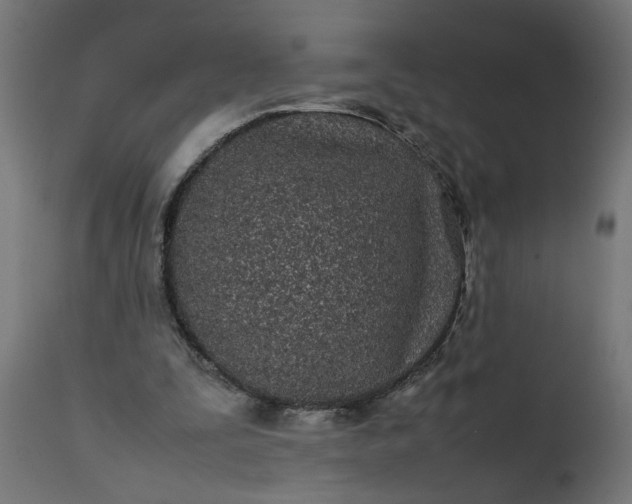 X0000111490295200907281234