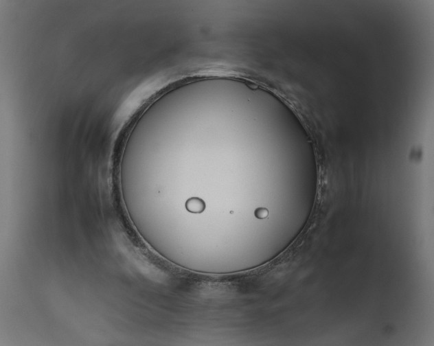 X0000111490296200907281234