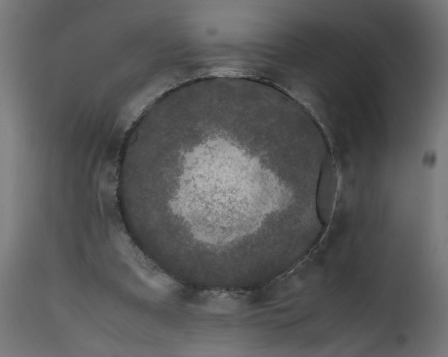 X0000111490297200907281234