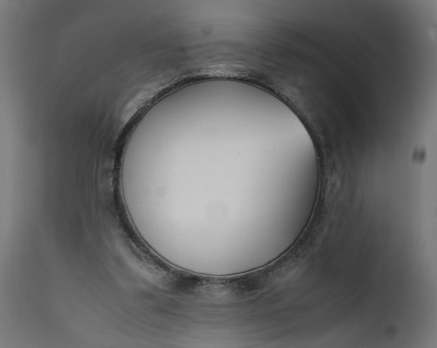 X0000111490299200907281234