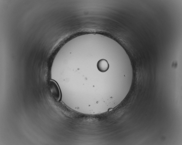 X0000111490304200907281234