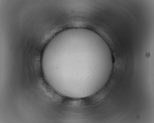 X0000111490306200907281234