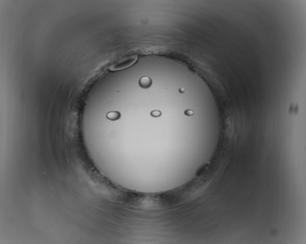 X0000111490308200907281233