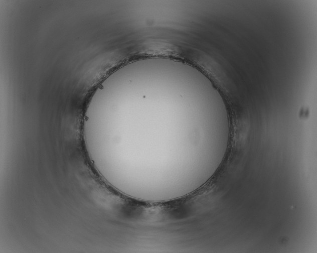 X0000111490309200907281233