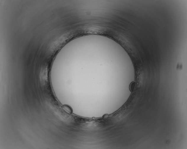 X0000111490310200907281233