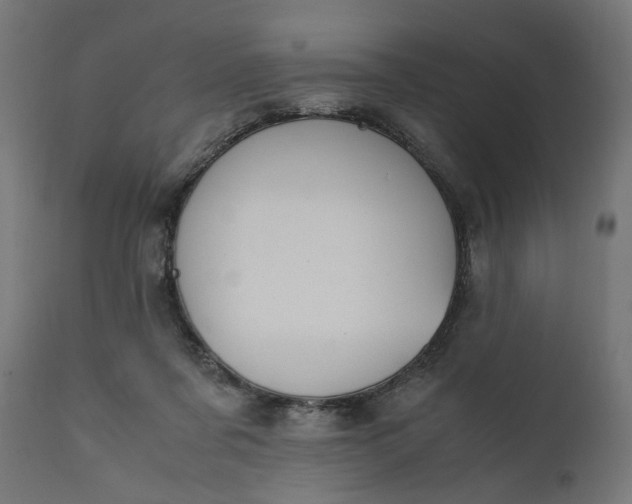 X0000111490311200907281233