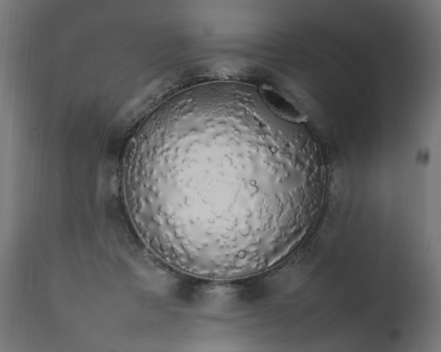 X0000111490313200907281233