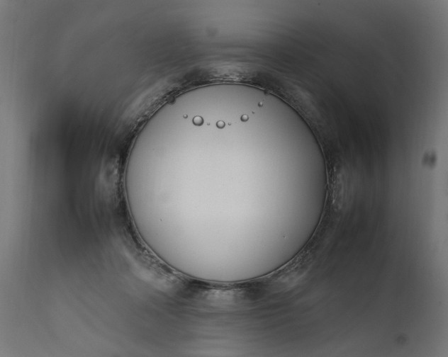 X0000111490314200907281233