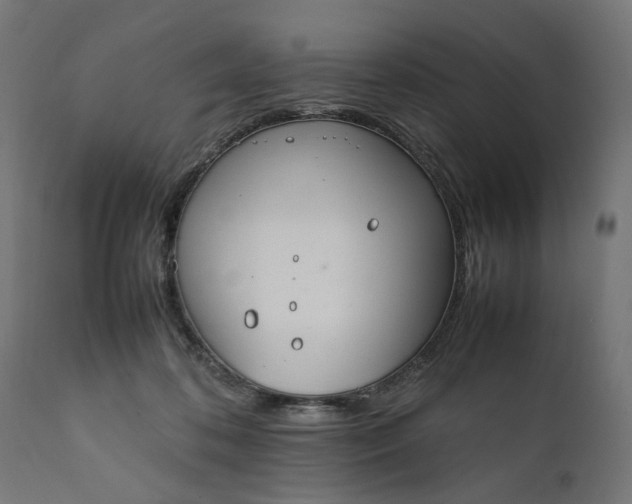 X0000111490316200907281233