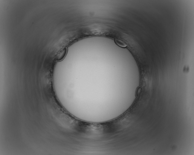 X0000111490317200907281233