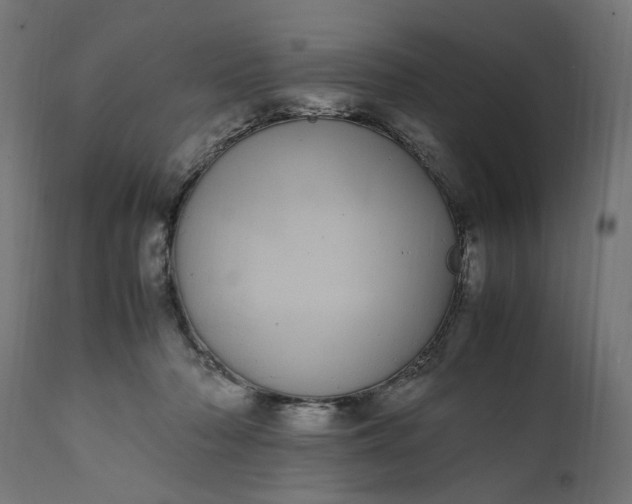 X0000111490318200907281233