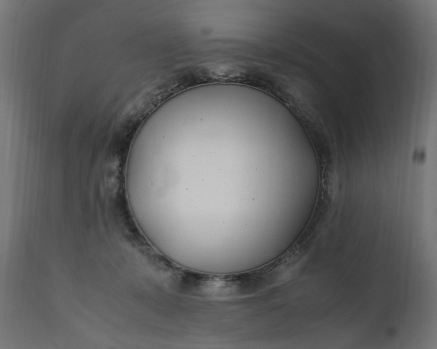 X0000111490319200907281233