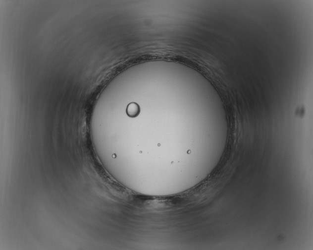 X0000111490320200907281233