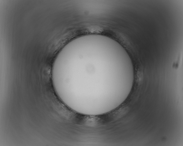 X0000111490321200907281233