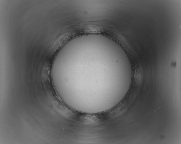 X0000111490322200907281233