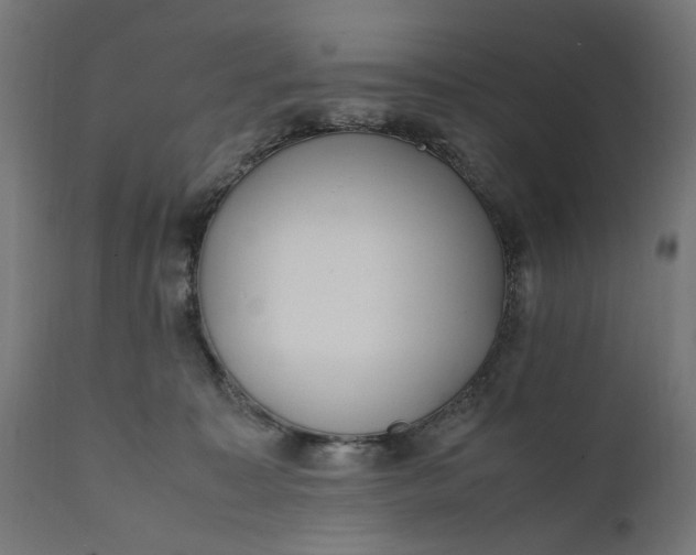 X0000111490323200907281233