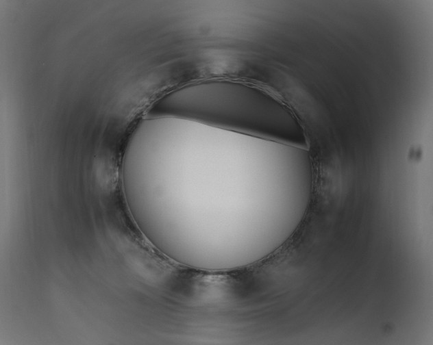 X0000111490324200907281233