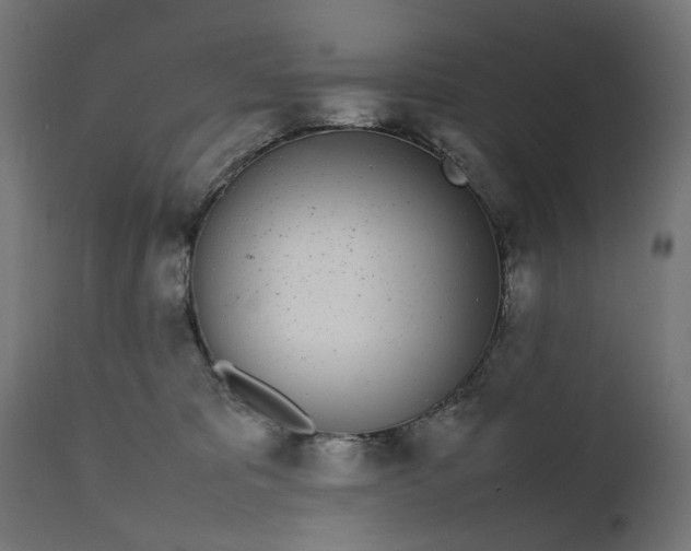 X0000111490325200907281233