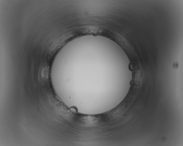 X0000111490326200907281233