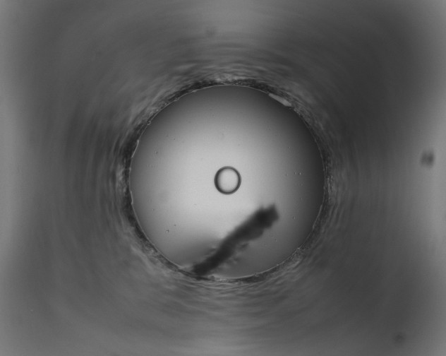 X0000111490327200907281233