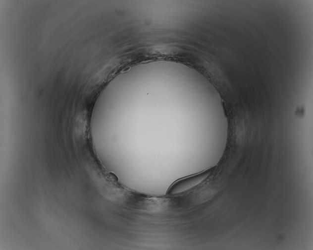 X0000111490328200907281233