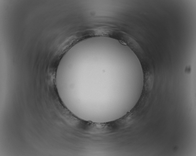 X0000111490329200907281233