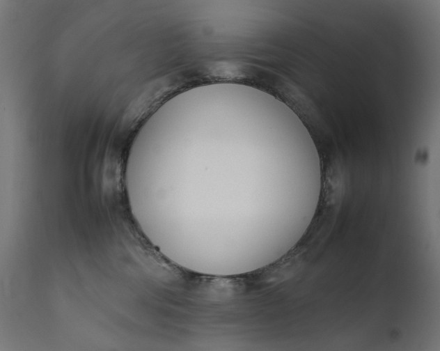 X0000111490330200907281233