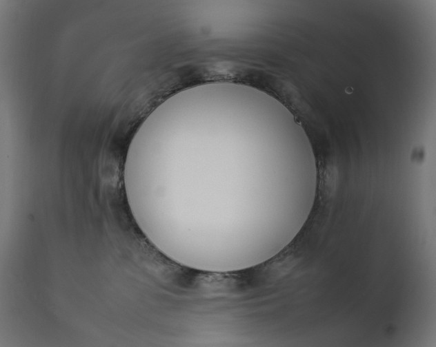 X0000111490331200907281233