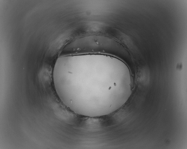 X0000111490332200907281233