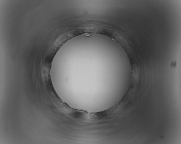 X0000111490333200907281233