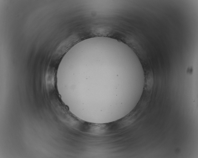 X0000111490334200907281233