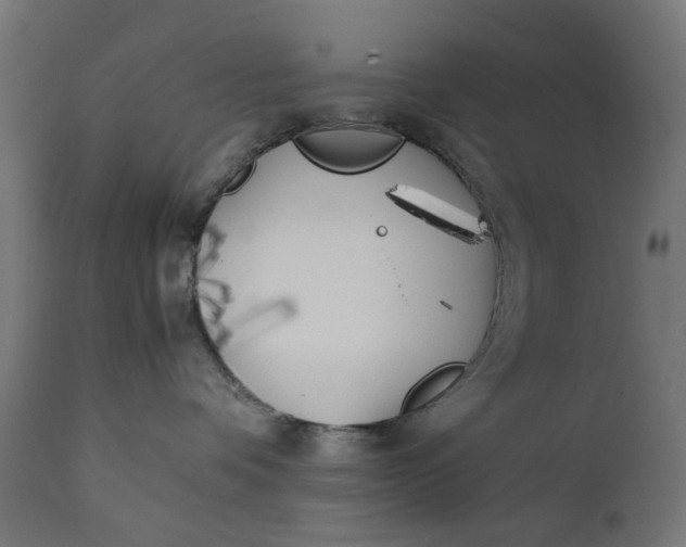 X0000111490336200907281233