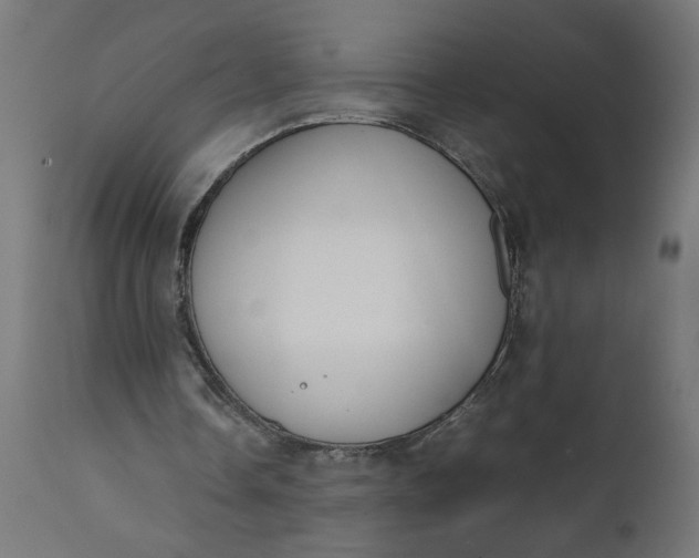 X0000111490338200907281232