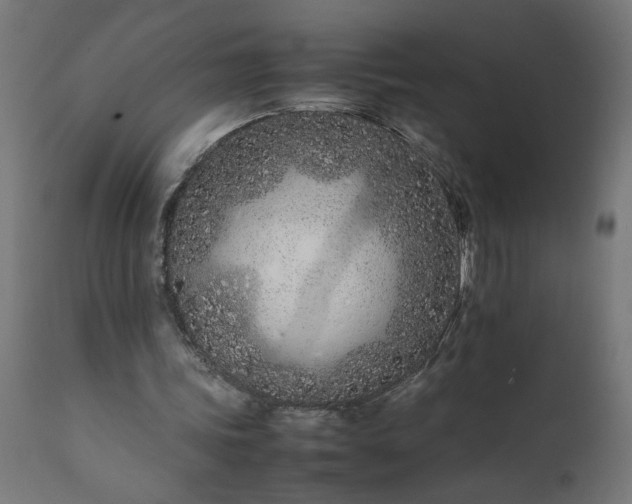 X0000111490339200907281232