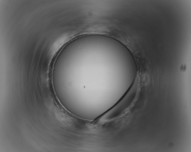 X0000111490340200907281232