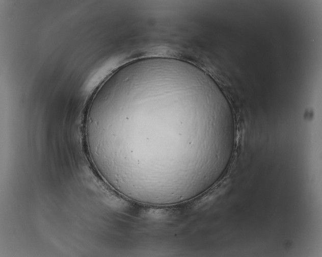 X0000111490341200907281233