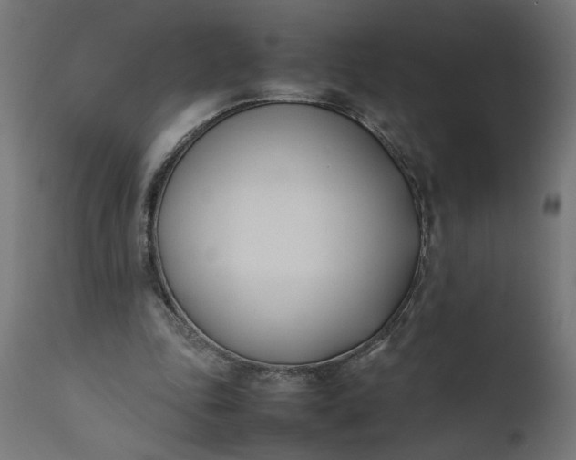 X0000111490343200907281233