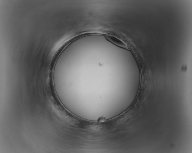 X0000111490344200907281233